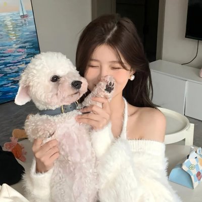 猫狗大战2